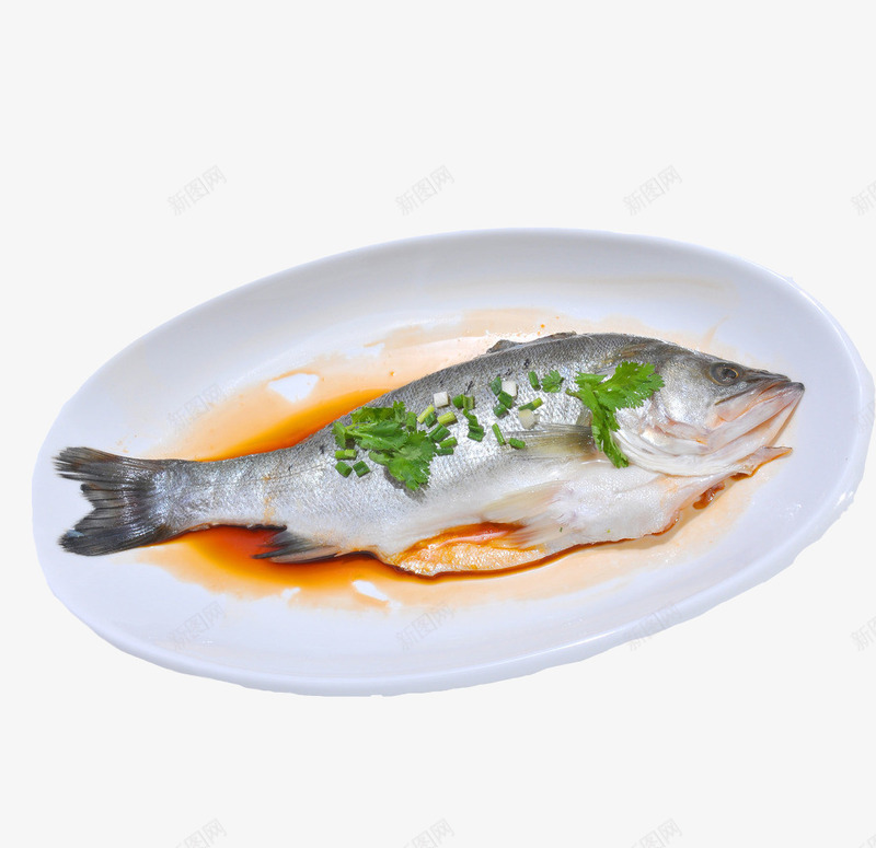 香菜清蒸鲈鱼png免抠素材_88icon https://88icon.com am 产品实物 姜 海鲜菜 清蒸 粤菜 红椒 美味 花椒 葱 豉油 餐饮 鲈鱼