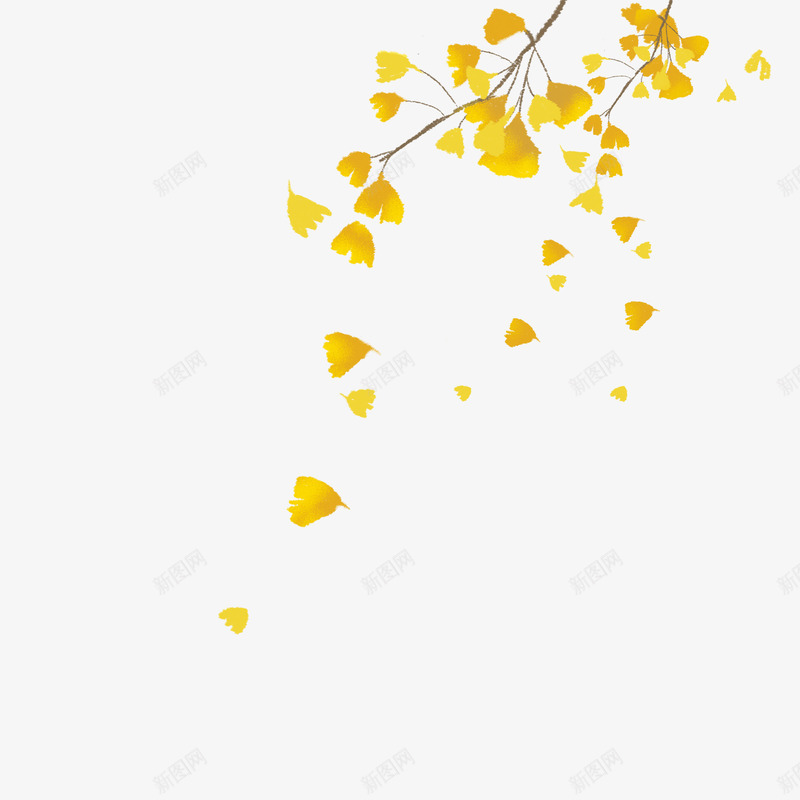 实物秋天主题银杏叶落叶png免抠素材_88icon https://88icon.com 叶子 摄影 树叶飘 水彩 秋天主题 翅膀落叶 落叶 银杏叶 黄色银杏叶