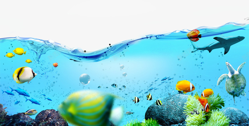 蓝色海底psd免抠素材_88icon https://88icon.com 夏天素材 小鱼 水 水面 海底 海底沙滩 海面 石头 蓝色