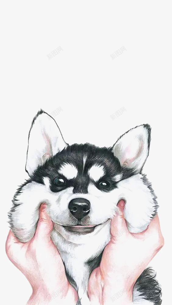 哈士奇png免抠素材_88icon https://88icon.com 动物 卡通 可爱小狗 哈士奇插画 宠物狗 小狗 手绘 手绘哈士奇 水墨哈士奇