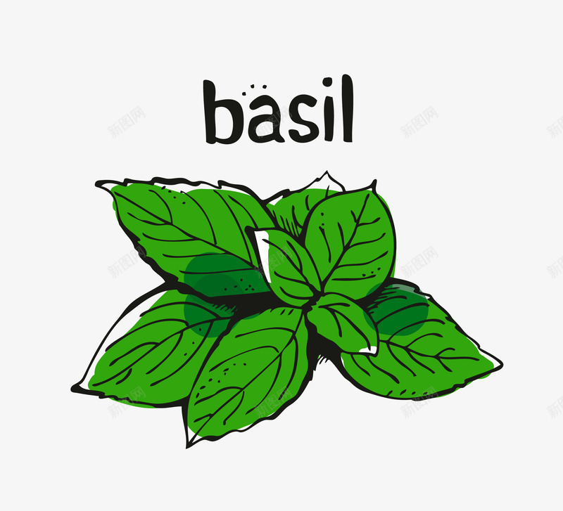 罗勒属植物矢量图eps免抠素材_88icon https://88icon.com 卡通罗勒属植物 手绘罗勒属植物 植物 水彩罗勒属植物 矢量罗勒属植物 罗勒属植物png 矢量图