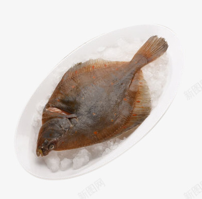 冷冻花斑鲽鱼png免抠素材_88icon https://88icon.com png图片素材 产品实物 免费png素材 冷冻 冷冻花斑鲽鱼 海鲜 生鲜食品 绿色食品