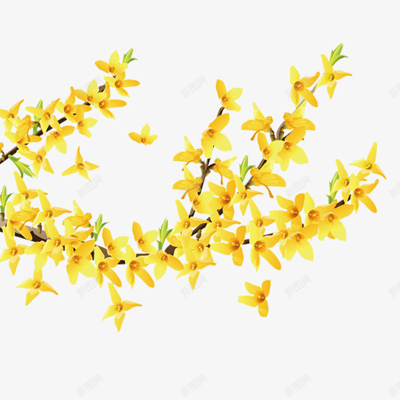 黄色的花png免抠素材_88icon https://88icon.com 枝头 漂亮 花瓣 黄色