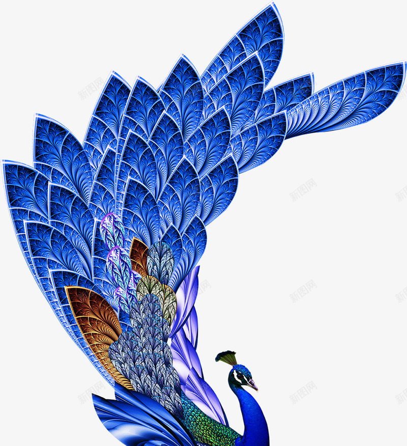 孔雀png免抠素材_88icon https://88icon.com 孔雀 百鸟之王 蓝孔雀