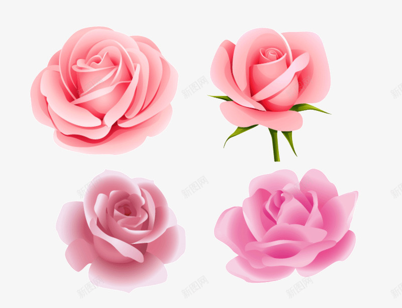 玫瑰免费png免抠素材_88icon https://88icon.com 一枝花 七叶 免费 免费图片 叶 婚纱照花朵 广告设计 玫瑰 玫瑰叶 玫瑰花 玫瑰花花瓣 粉红 粉红玫瑰 粉色 精美 节日 花朵 设计 飘落装饰 鲜花