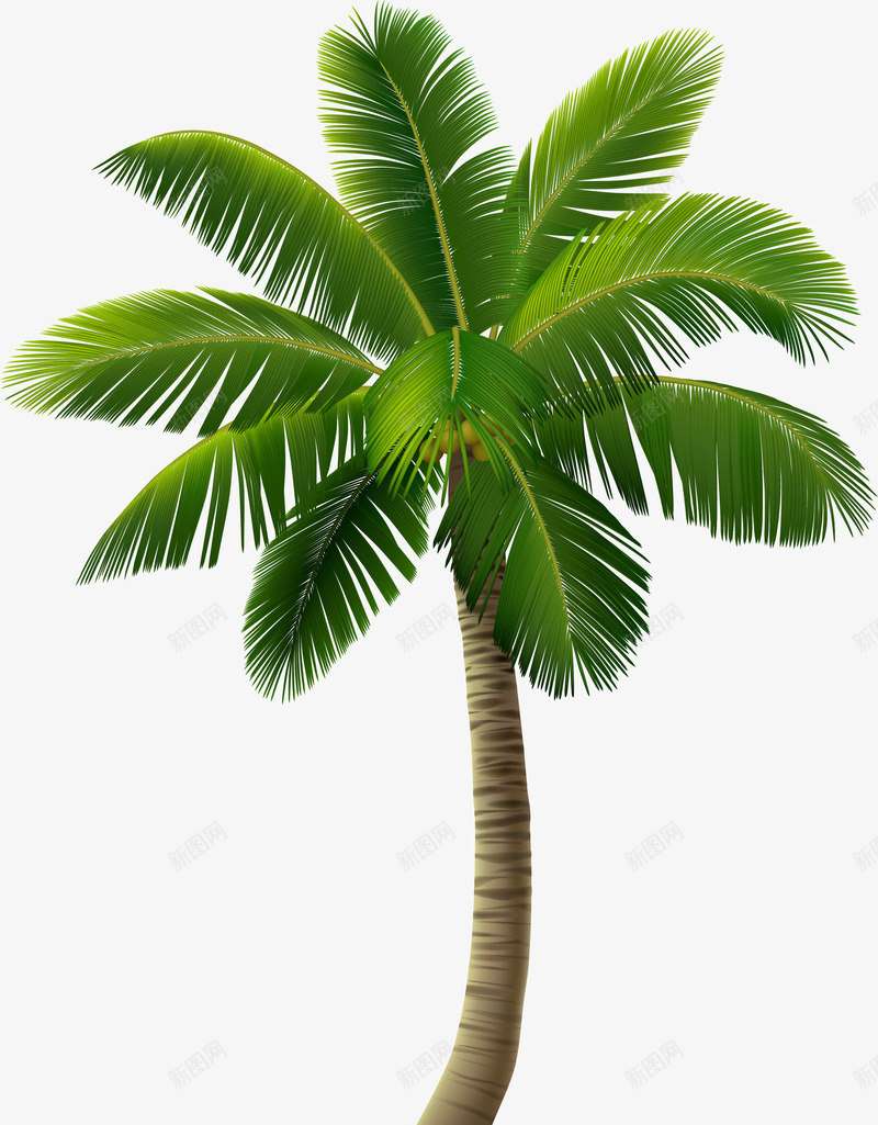 绿色海岛椰树png免抠素材_88icon https://88icon.com 免抠PNG 弯曲树干 树木 植物 椰树 海岛 海岛小船 绿化 绿色 装饰图案