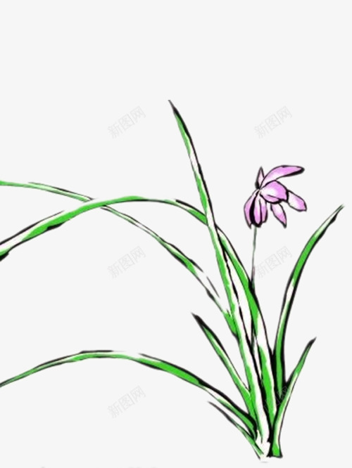 手绘兰花png免抠素材_88icon https://88icon.com 下载图片 好看的兰花 手绘 漂亮的兰花