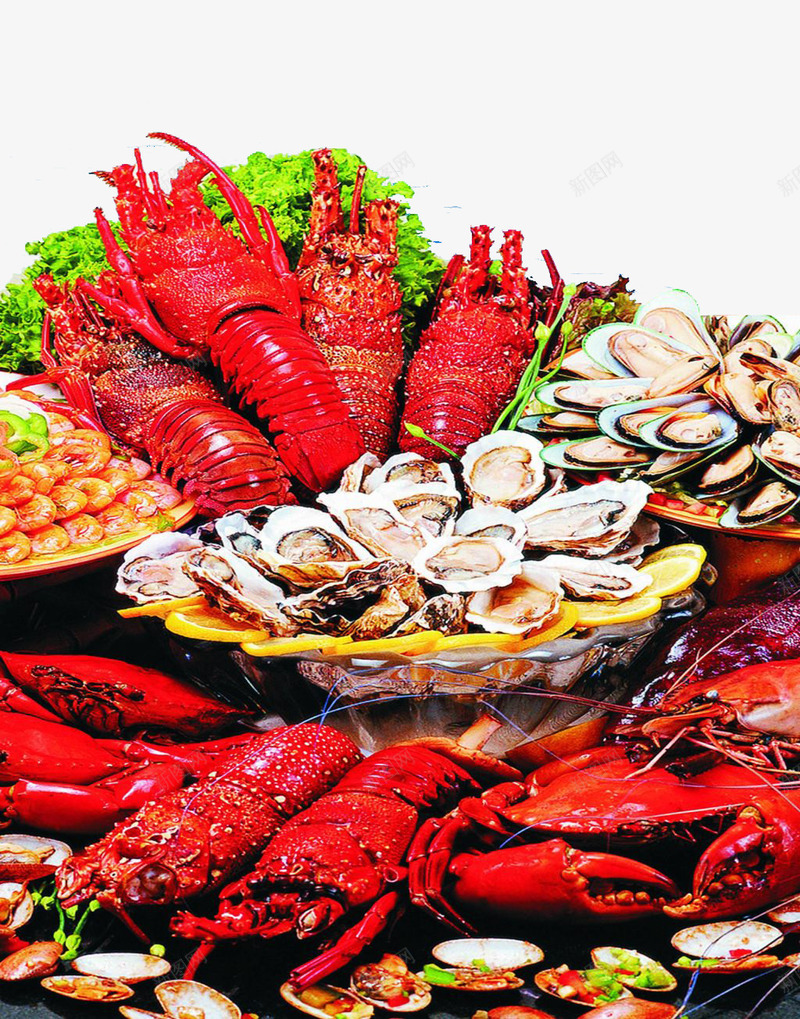 海鲜澳龙png免抠素材_88icon https://88icon.com 海鲜 澳龙 虾 龙虾