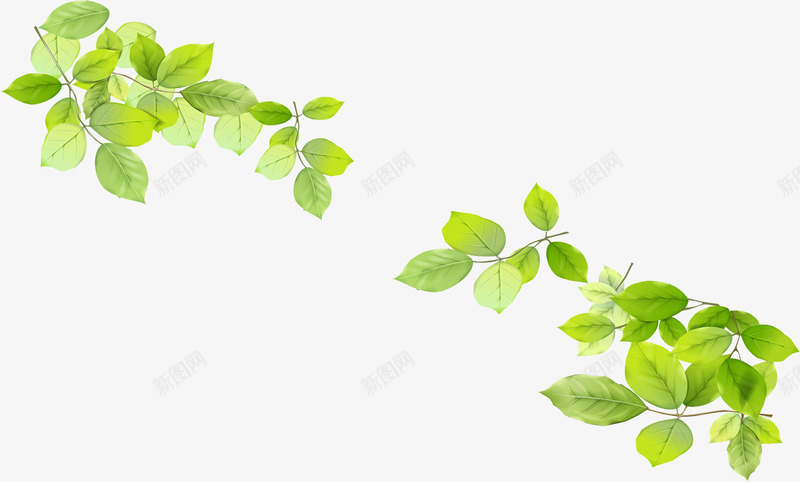 清新春季手绘文艺树叶树枝装饰png免抠素材_88icon https://88icon.com 文艺 春季 树叶 树枝 清新 装饰