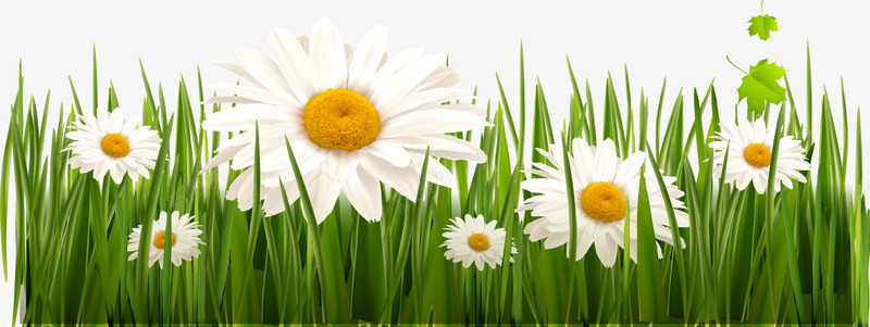 花草边框png免抠素材_88icon https://88icon.com 白色的花 绿草 草丛 边框素材