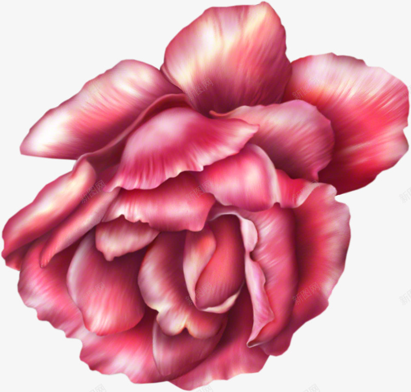 手绘鲜花叶子1png免抠素材_88icon https://88icon.com 手绘 春季 绝美 鲜花