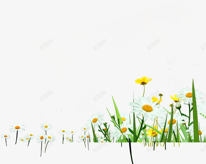 春季白色野外花海png免抠素材_88icon https://88icon.com 春季 白色 花海 野外