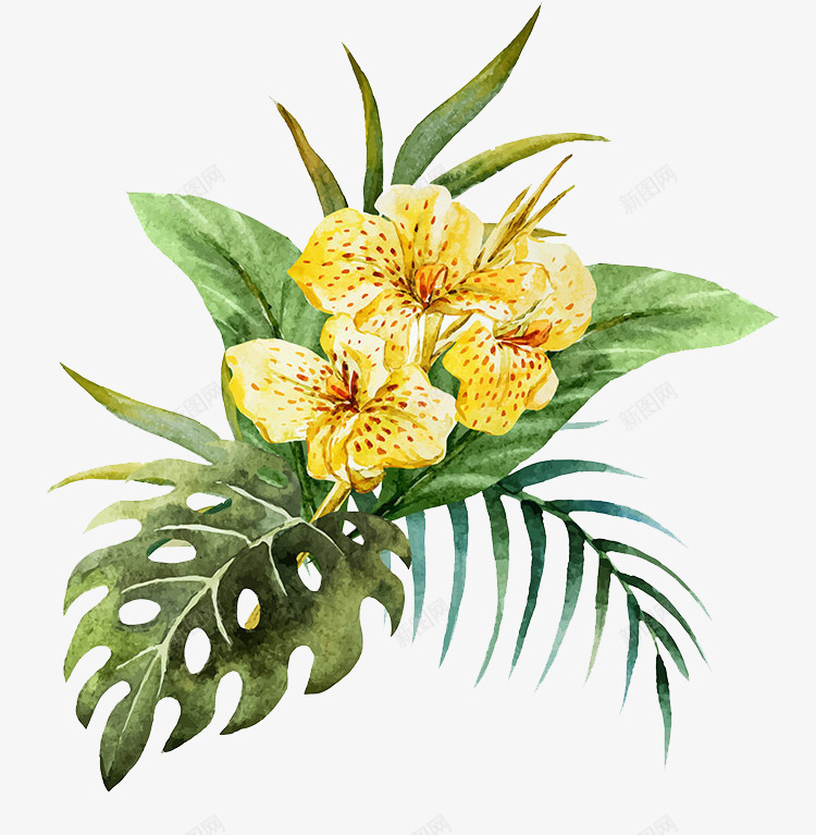 手绘的热带植物装饰png免抠素材_88icon https://88icon.com 免抠图 效果图 植物 绿叶 花朵 装饰图 装饰画