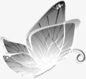 灰色水墨蝴蝶七夕png免抠素材_88icon https://88icon.com 七夕 水墨 灰色 蝴蝶