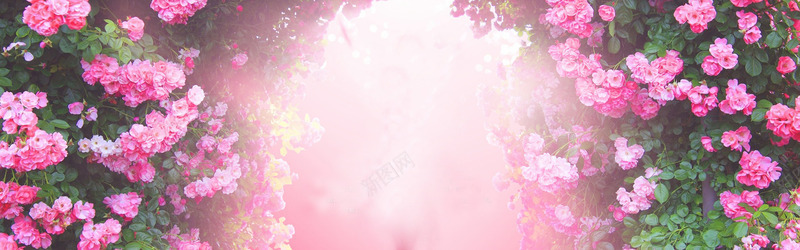 阳光花朵唯美背景png免抠素材_88icon https://88icon.com 唯美 背景 花朵 阳光