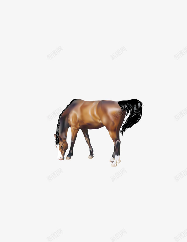 策马奔腾矢量图ai免抠素材_88icon https://88icon.com 宝马 马 骏马 矢量图