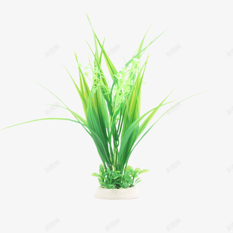 水族造景装饰鱼缸水草png免抠素材_88icon https://88icon.com 产品实物 仿真水草 仿真造景水族箱绿色茅草花草 水族造景装饰 鱼缸水草