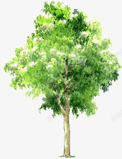 手绘绿树春季png免抠素材_88icon https://88icon.com 春季 素材 绿树