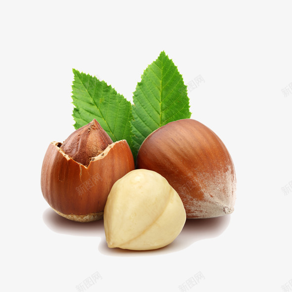 夏威夷果png免抠素材_88icon https://88icon.com 坚果果实 夏威夷果 干果食物 果实 餐饮美食