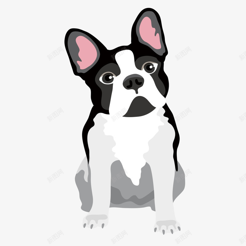 憨厚老实的斗牛犬png免抠素材_88icon https://88icon.com 卡通 卡通狗 呆萌 小狗 恶犬 憨厚 斗牛犬 老实