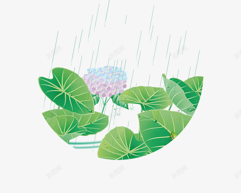 手绘荷叶与花朵雨滴装饰psd免抠素材_88icon https://88icon.com 手绘画 手绘花朵 手绘花草 手绘荷叶 草装饰 雨滴