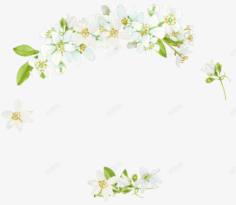手绘清新花卉花框png免抠素材_88icon https://88icon.com 小清新花草装饰 文艺花草PPT制作 植物插画 海报设计 花卉花框 花草包装礼盒 花草插画 花草装饰