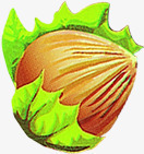 手绘可爱卡通坚果png免抠素材_88icon https://88icon.com 卡通 可爱 坚果