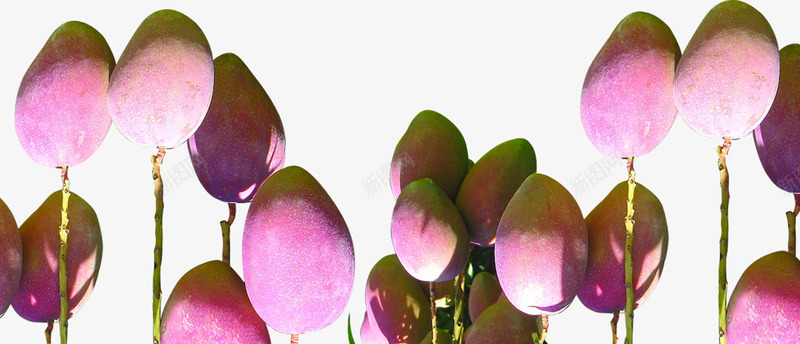 红色芒果水果装饰png免抠素材_88icon https://88icon.com 水果 红色 芒果 装饰