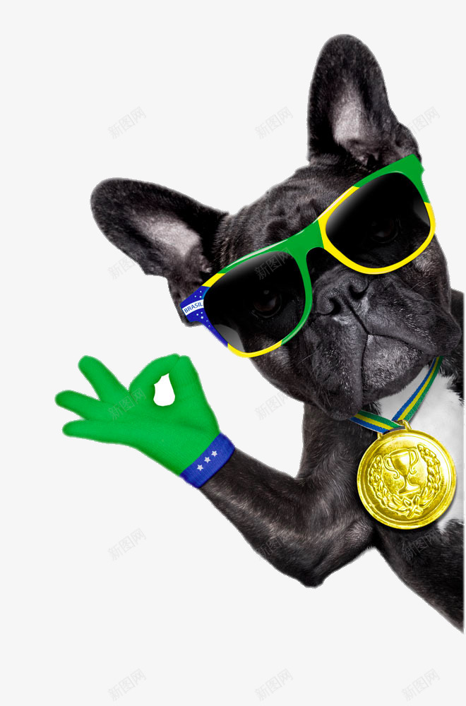 带着墨镜的狗png免抠素材_88icon https://88icon.com OK png图片 免费png 免费png元素 免费png素材 可爱 狗 生活百科