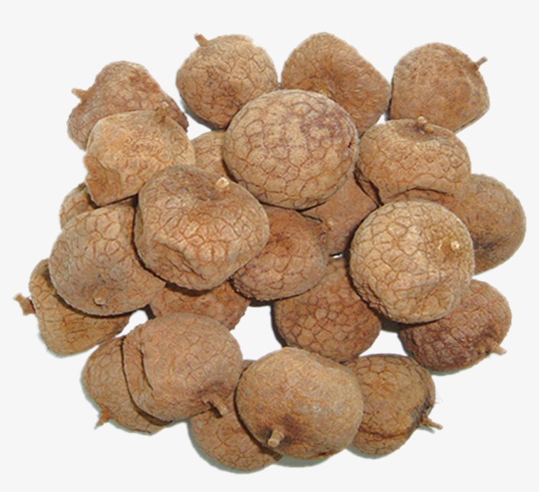 龙眼干果png免抠素材_88icon https://88icon.com 坚果壳 干果 零食 食物 龙眼 龙眼壳子