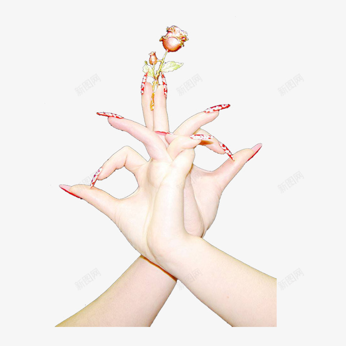中国风魅色美甲png免抠素材_88icon https://88icon.com 中国风 性感 指甲油 玫瑰花 甲片 美甲 魅色