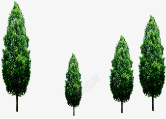 春季景观植物大树png免抠素材_88icon https://88icon.com 大树 春季 景观 植物