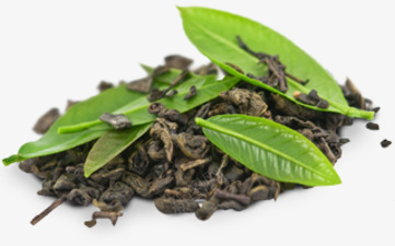 白茶有机白茶茶叶png免抠素材_88icon https://88icon.com 有机 白茶 茶叶