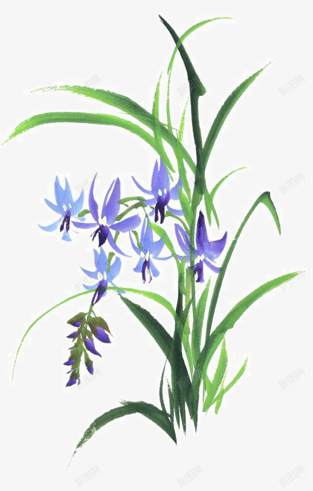 写意兰草png免抠素材_88icon https://88icon.com 写意 国画花卉 国粹 宣纸画 手绘花草 手绘装饰 水墨国画