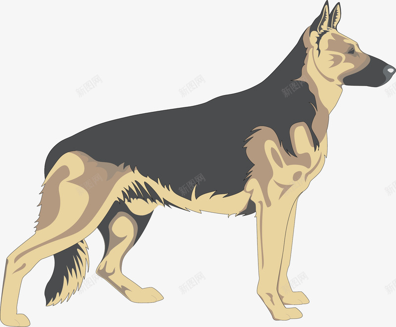猎犬矢量图ai免抠素材_88icon https://88icon.com 免费矢量下载 小狗 插画 狗狗 猎犬 矢量图