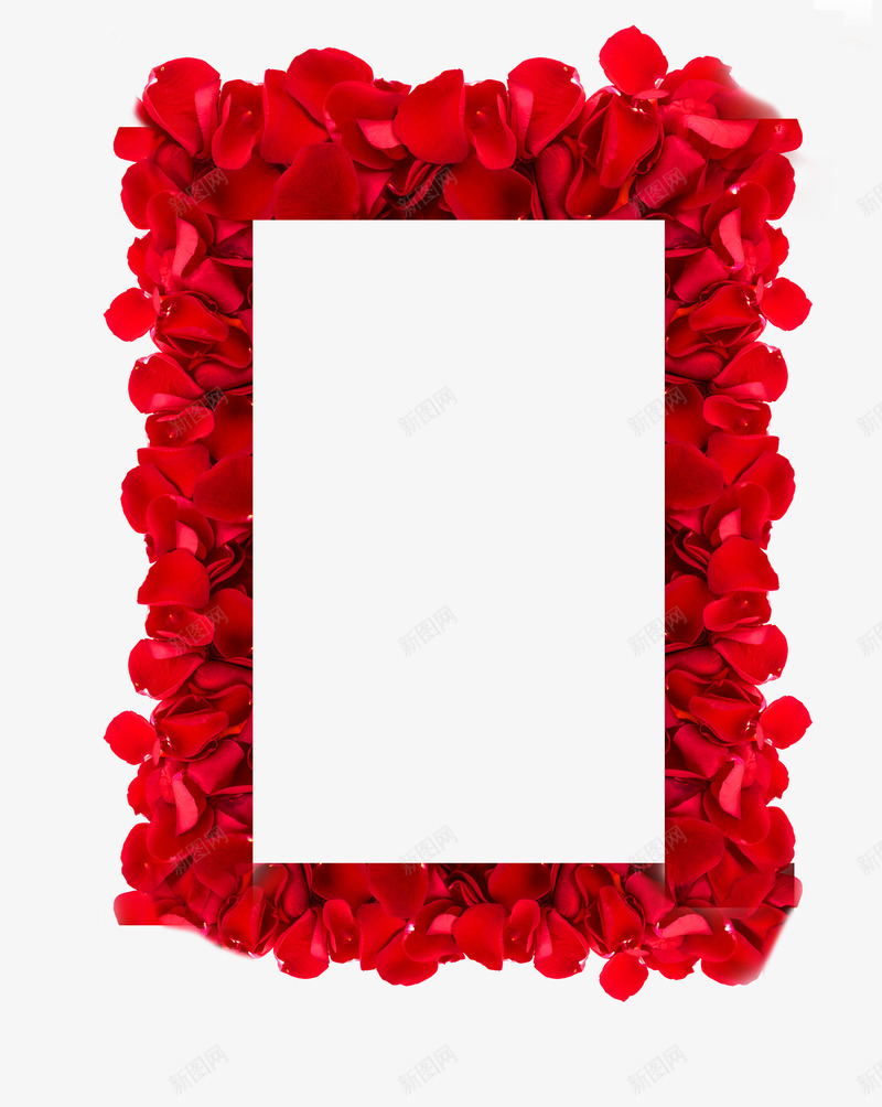 卡通红色玫瑰花边框png免抠素材_88icon https://88icon.com 卡通玫瑰花 妇女节 情人节 红色玫瑰花 背景装饰 花瓣边框