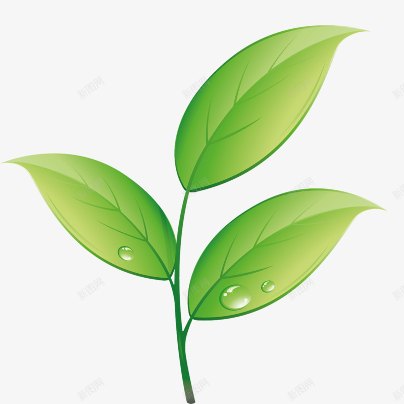 手绘嫩叶png免抠素材_88icon https://88icon.com 嫩叶 手绘 绿色 露水