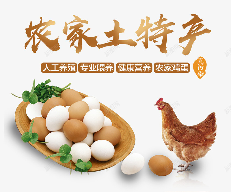 农家土持产png免抠素材_88icon https://88icon.com 下蛋 农家 特产 鸡 鸡蛋