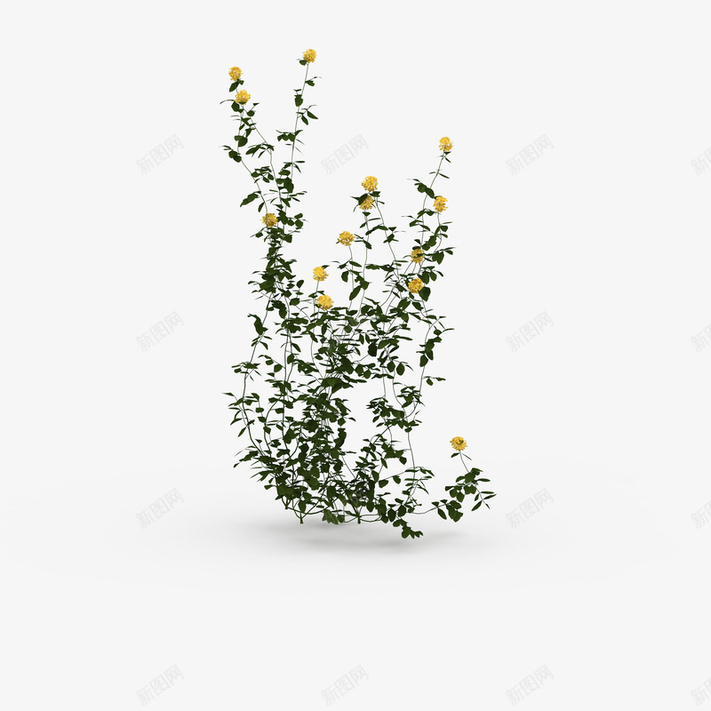 黄色花草垂吊植物png免抠素材_88icon https://88icon.com 垂吊植物 植物 绿色叶子 花草 黄色花草 黄色花草垂吊植物
