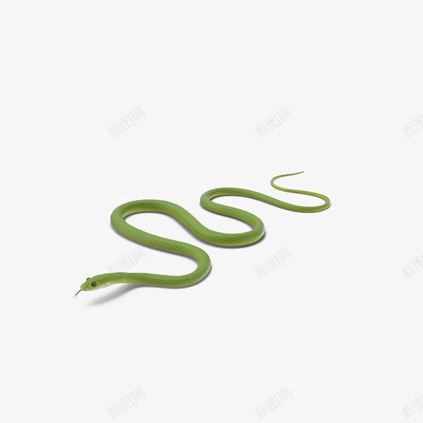 绿色青蛇爬行png免抠素材_88icon https://88icon.com 动物 爬行 绿色 青蛇