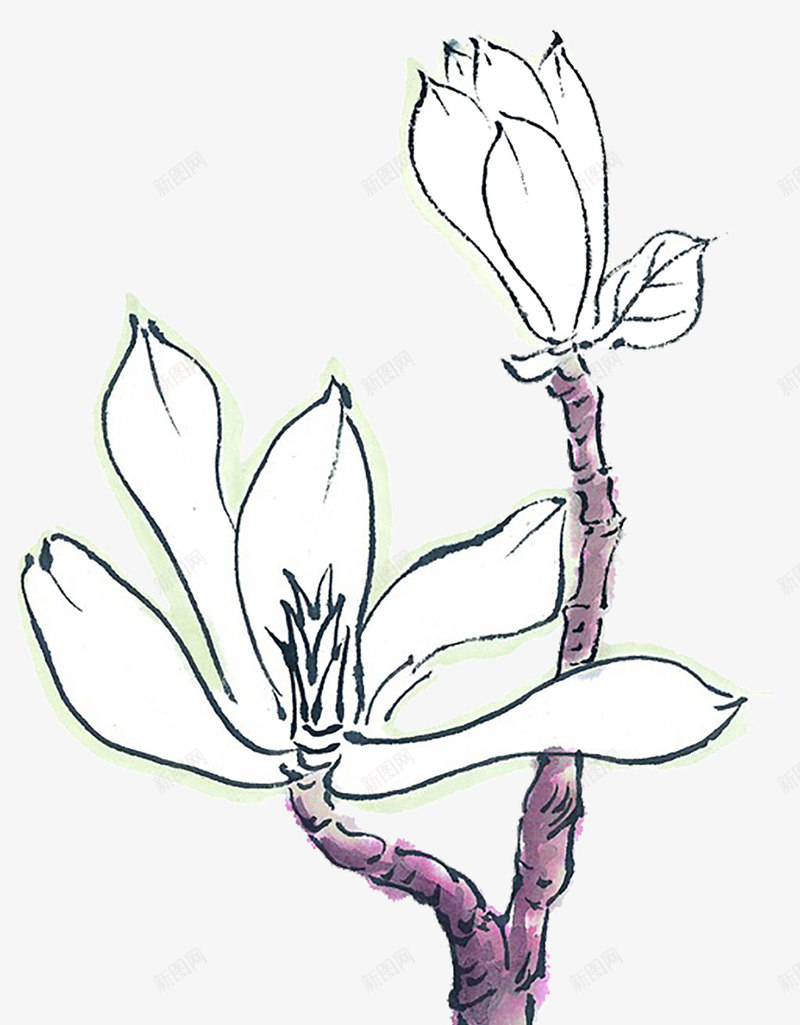 手绘木棉花png免抠素材_88icon https://88icon.com 富贵的 手绘的 木棉花 木棉花手绘 木棉花树 漂亮的 白色的 装饰花朵