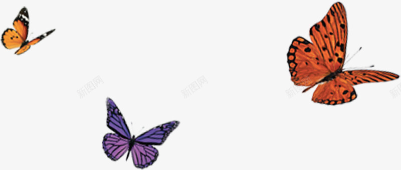 彩色蝴蝶装饰图png免抠素材_88icon https://88icon.com 彩色 手绘 春季 漂浮 蝴蝶 蝴蝶结 装饰