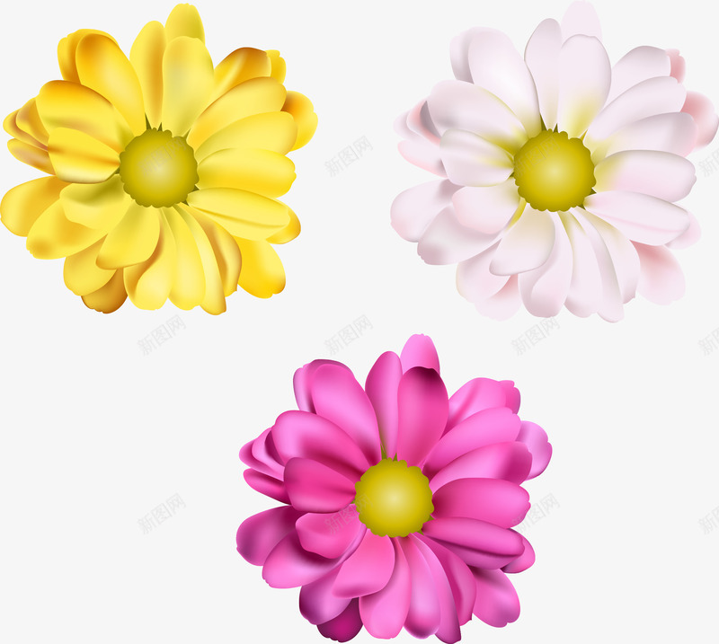 手绘小雏菊png免抠素材_88icon https://88icon.com daisy 写实 小雏菊 彩色花朵 手绘 粉色花朵 花瓣 菊花 黄色花朵