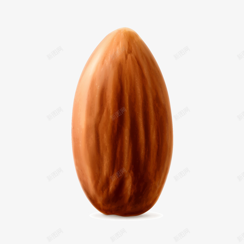 逼真美味坚果美食矢量图ai免抠素材_88icon https://88icon.com 逼真食物坚果食物 矢量图