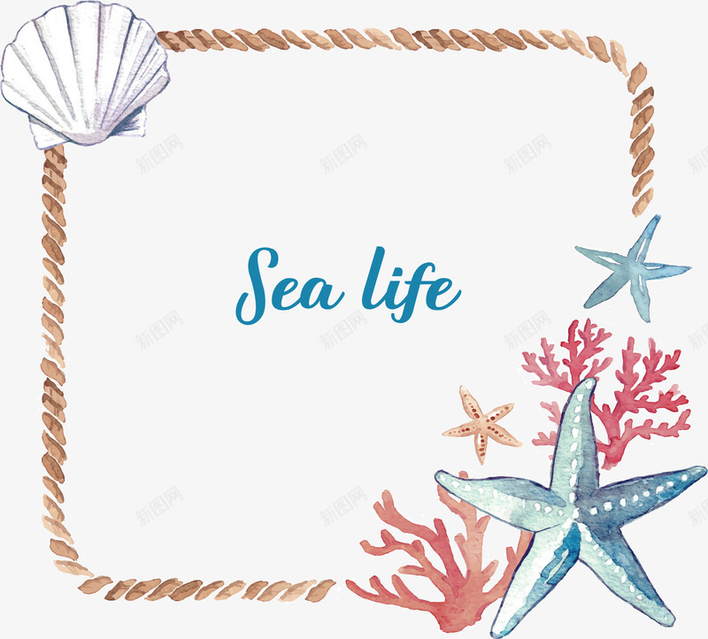 水彩手绘海星贝壳矢量图ai免抠素材_88icon https://88icon.com 水彩海星 海底世界 海星 海洋世界 矢量png 贝壳 矢量图