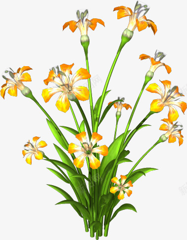 国画花卉手绘装饰png免抠素材_88icon https://88icon.com 花卉矢量图素材 花卉矢量素材 花卉线描 花卉背景 花卉背景素材 花草背景素材 装饰