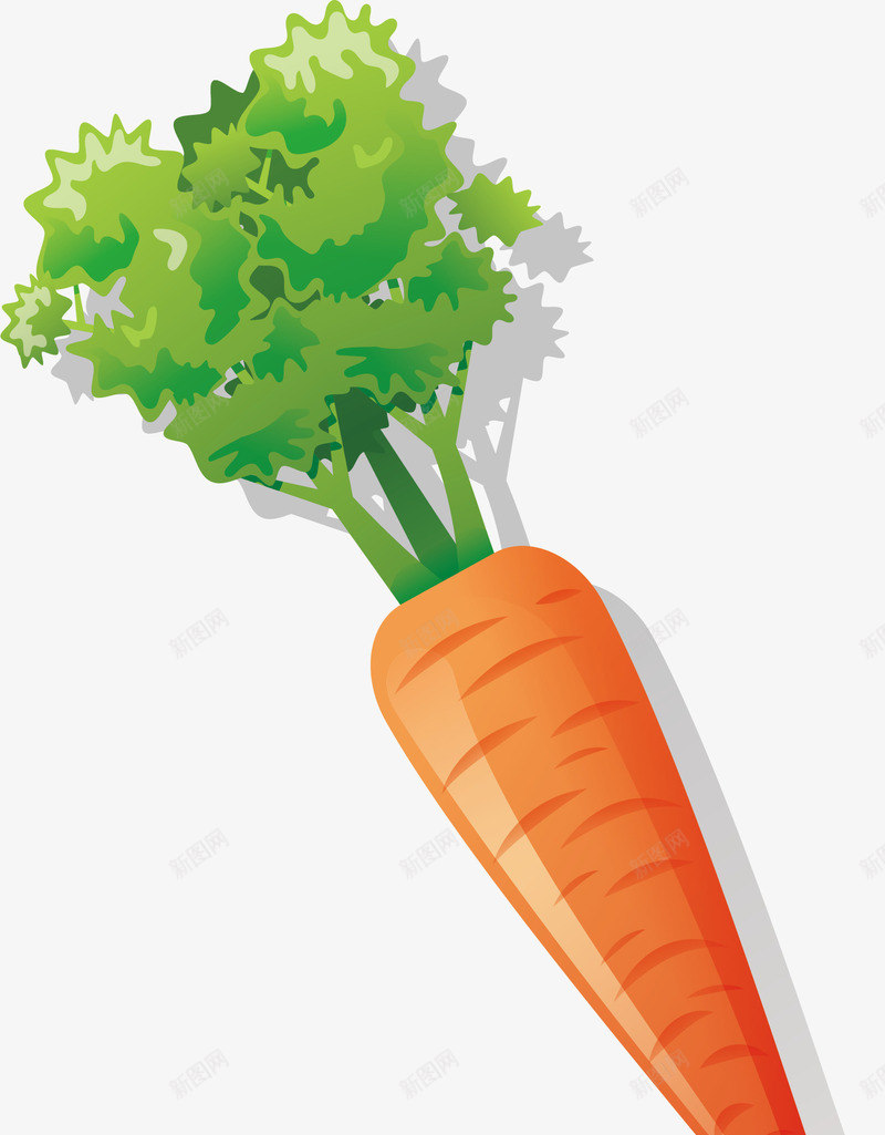 新鲜胡萝卜矢量图ai免抠素材_88icon https://88icon.com 新鲜胡萝卜 超值特价 超值特价坚果 超值特价水果 超值特价生活物品 超市水果 超级特价蔬菜 矢量图