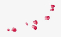 花瓣主题温泉png免抠素材_88icon https://88icon.com 主题 图片 温泉 花瓣