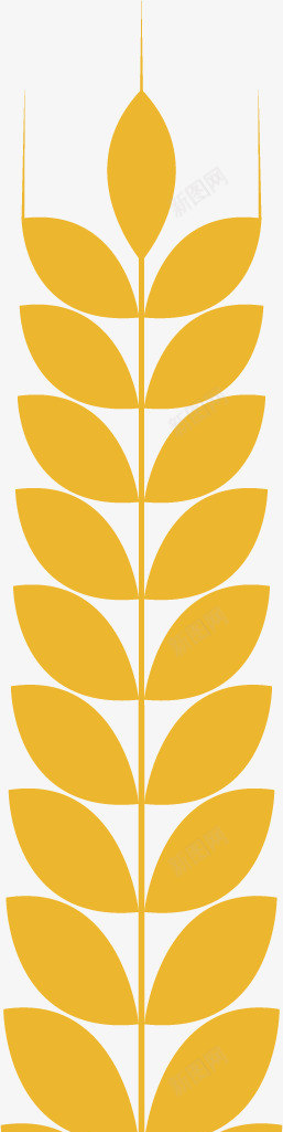 金色的麦芒矢量图ai免抠素材_88icon https://88icon.com 卡通 形象 直立 设计 金色 麦穗 麦芒 矢量图