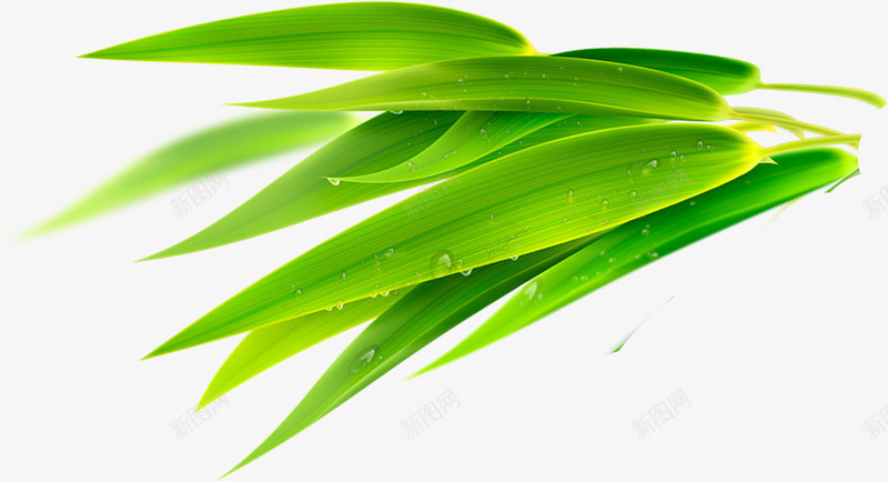 水珠边角竹叶png免抠素材_88icon https://88icon.com 水珠 竹叶 边角